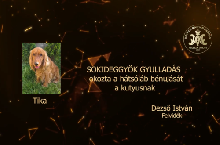 Sokideggyök gyulladás okozta a hátsóláb bénulását a kutyusnak – Dezső István – Felvidék